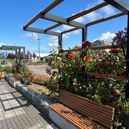 Gaja * Władysławowo