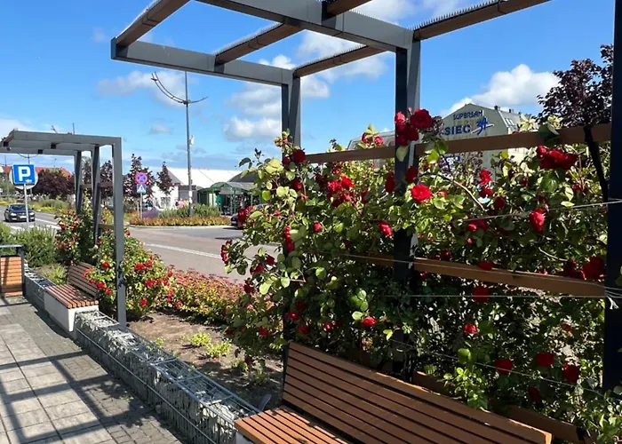 Gaja * Władysławowo